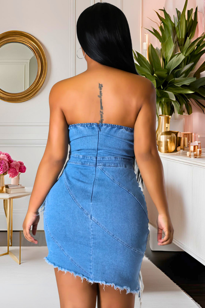 Feather Play Denim Dress