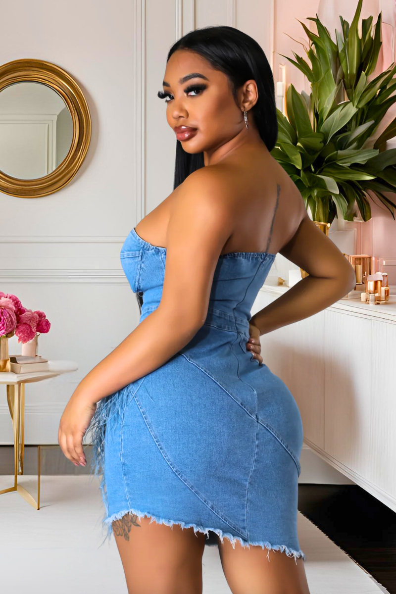Feather Play Denim Dress