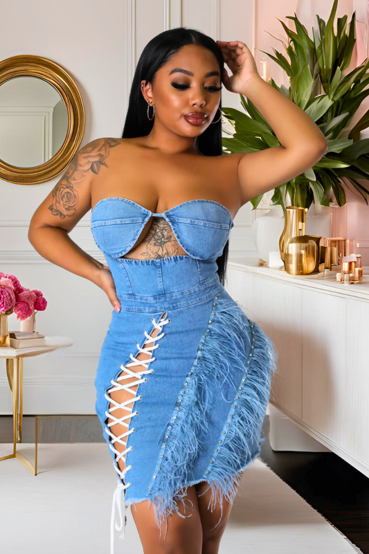 Feather Play Denim Dress